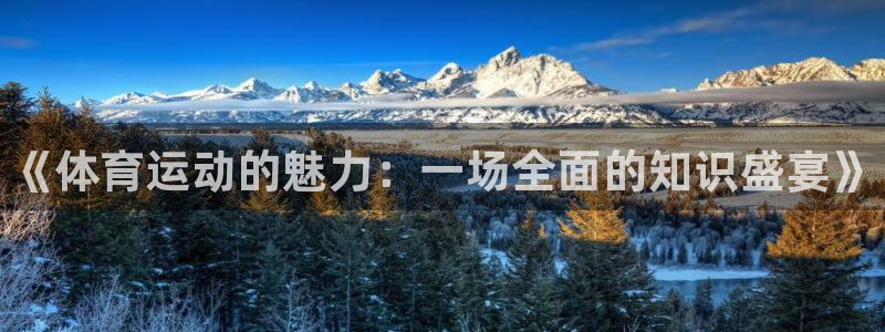 MK体育官网下载招商电话号码是多少号:《体育运动的魅力:一场