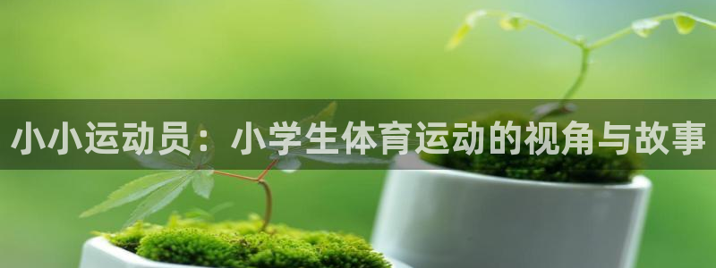 MK体育官网下载招商电话是多少号码:小小运动员:小学生体育运