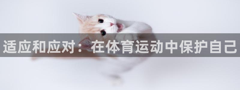 MK体育官网下载注册:适应和应对:在体育运动中保护自己